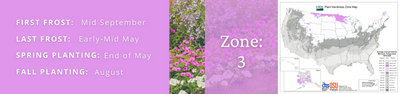 Proven Winners Zone 3 Garden Plants