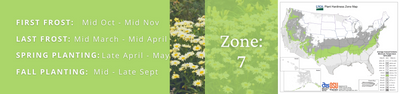 Proven Winners Zone 7 Plants