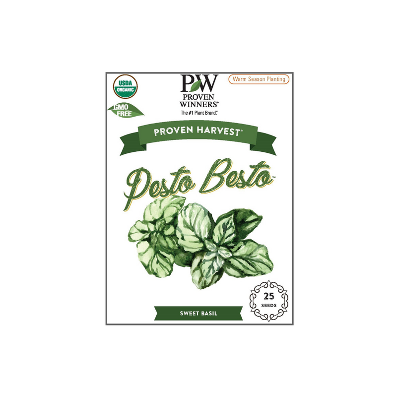 Seeds Pesto Besto™ Sweet Italian Basil (Ocimum)