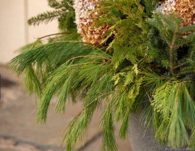 Holiday Decorating Ideas for Your Home🌲🤔💡