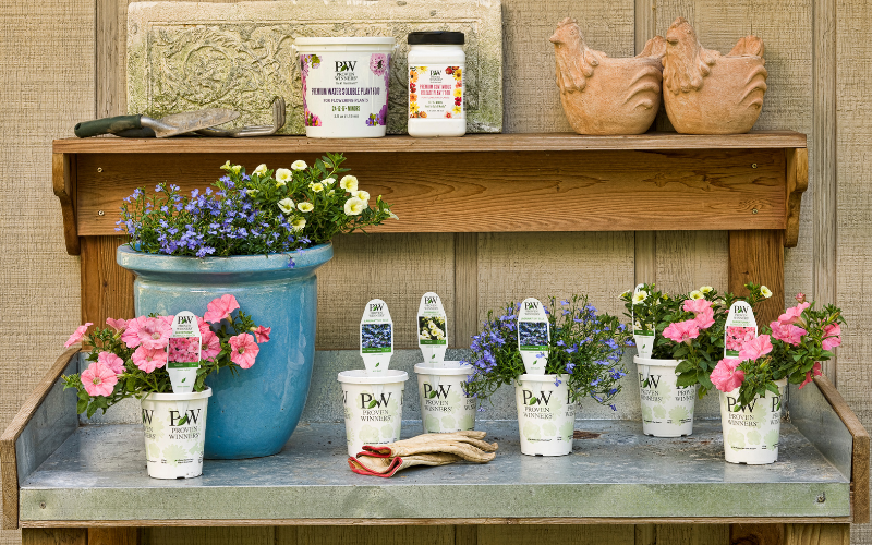 Spring Gardening Guide for a Successful Growing Season
