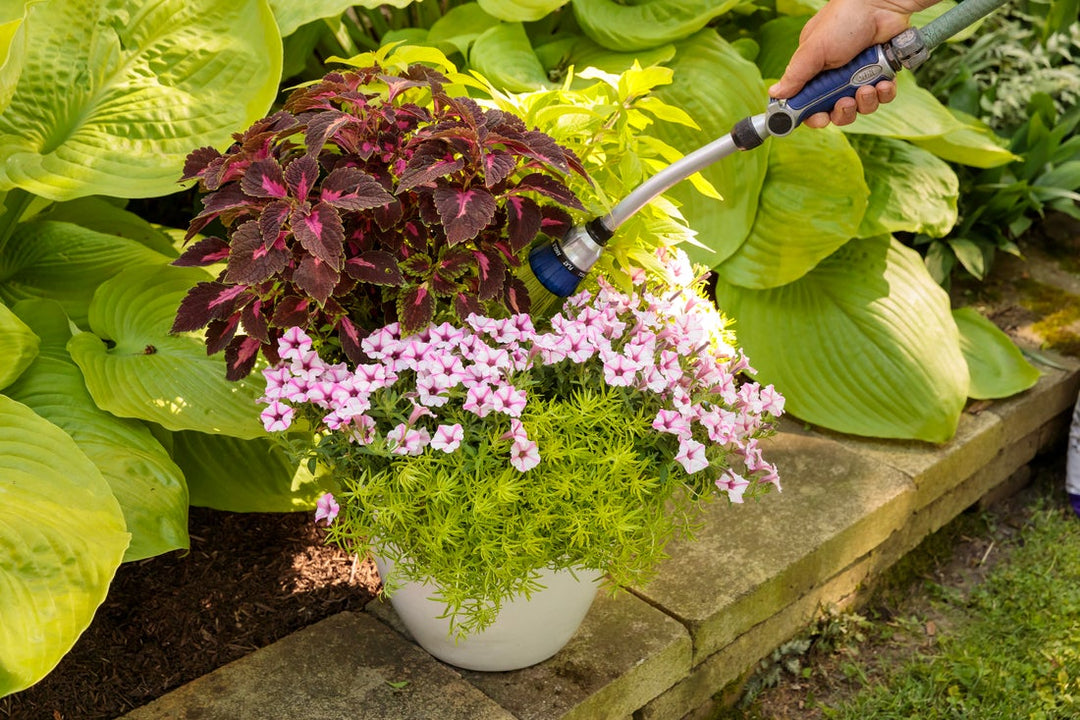 The Key to Watering