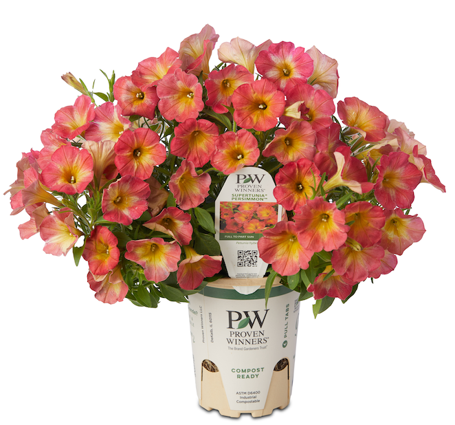 Sustainable Gardening with Proven Winners® Eco+Grande™