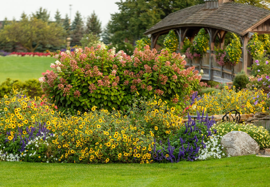 The First 3 Things To Consider When Planning a Garden