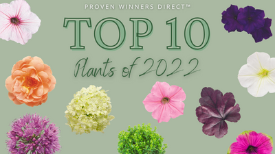 Proven Winners Direct™ Top 10 Best Selling Plants of 2022