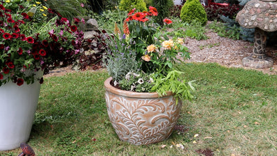 How to Design and Plant a Fall Container