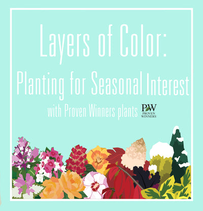 Planting for Year Round Color 🌺🍂🌲