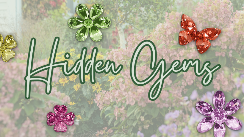 Hidden Gems Highlighted - March 28th, 2023