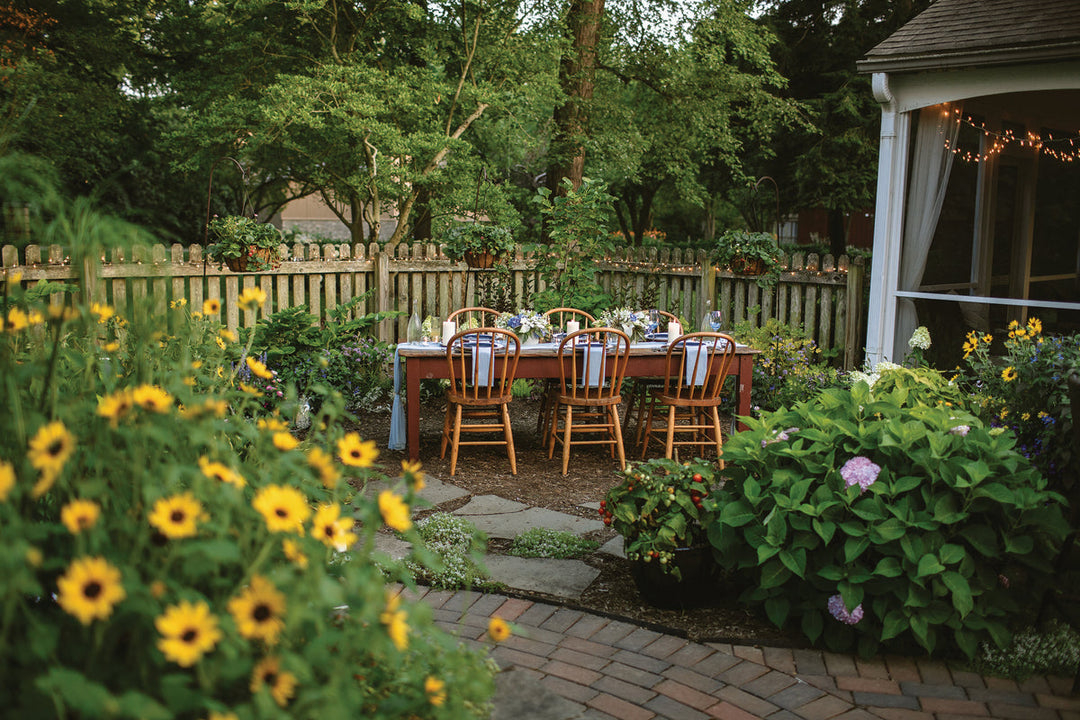 Starting Your Homestead Journey: A Beginner's Guide to Growing Food