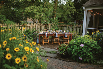 Starting Your Homestead Journey: A Beginner's Guide to Growing Food