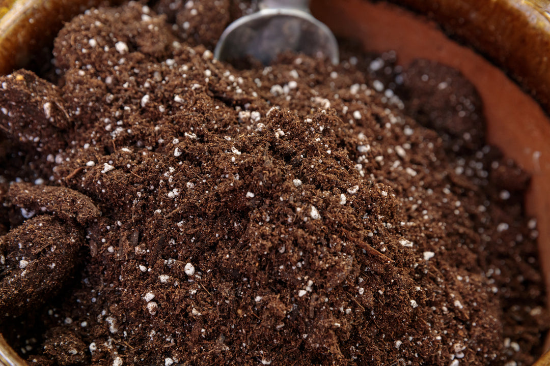 Gardening in Clay Soil