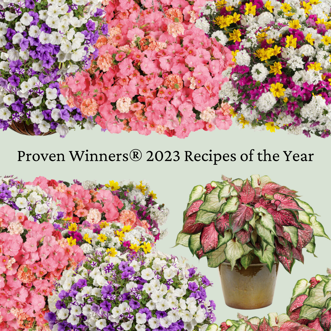 Proven Winners 2023 Recipes of the Year