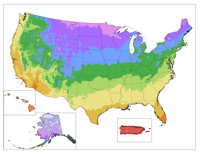 The Ultimate Guide to Plant Hardiness Zones