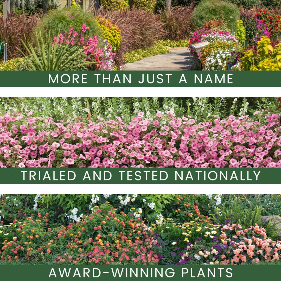 Why Proven Winners Direct™: Awards and Trials Explained!