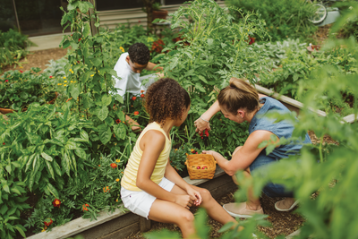 10 Reasons To Grow Your Own Food