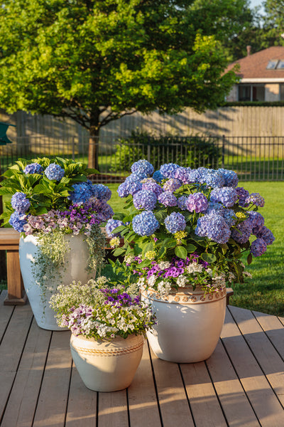 Why AquaPots are the Perfect Container for Any Outdoor Space