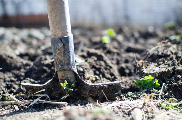 Who Says Planting is Only for the Spring?! 🌱