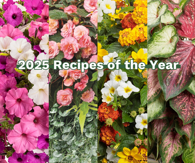 2025 Recipes of the Year