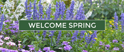 Welcome Spring Sale