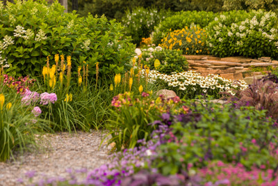 Dollars Off Fall Planting