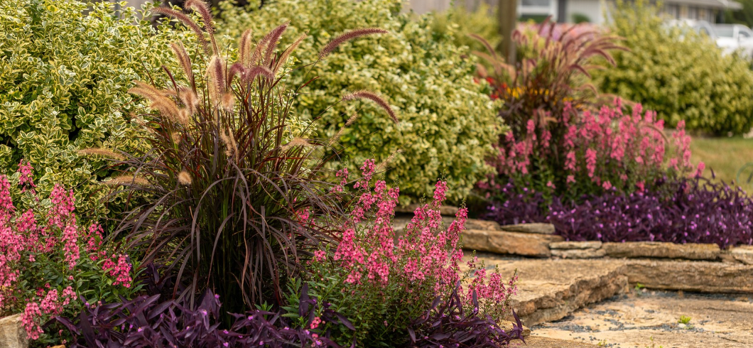 Garden landscape featuring warm brown ornamental grasses, pink flowers, purple foliage, and natural stone edging.