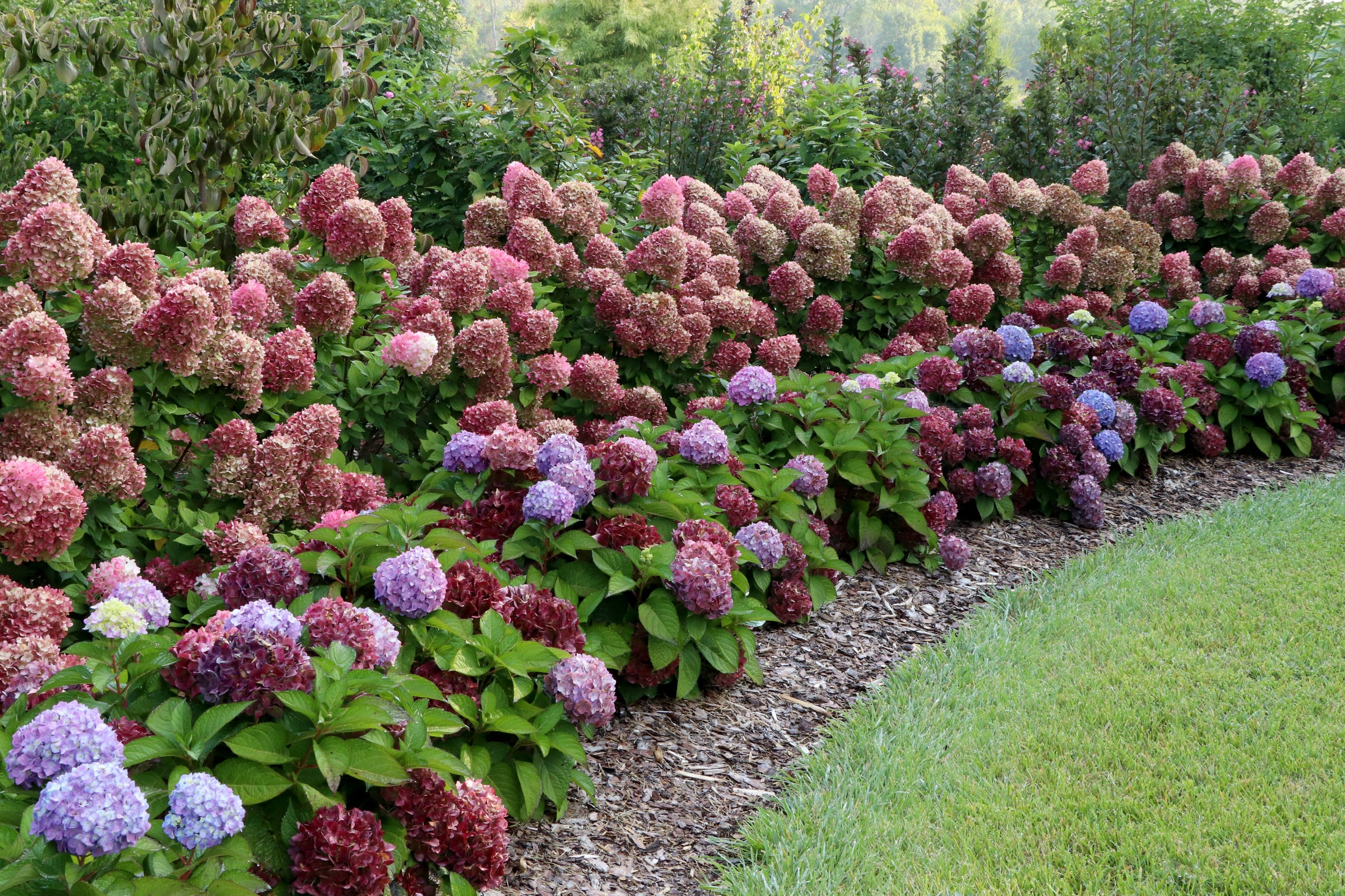 Fall scene with plants and pumpkins.