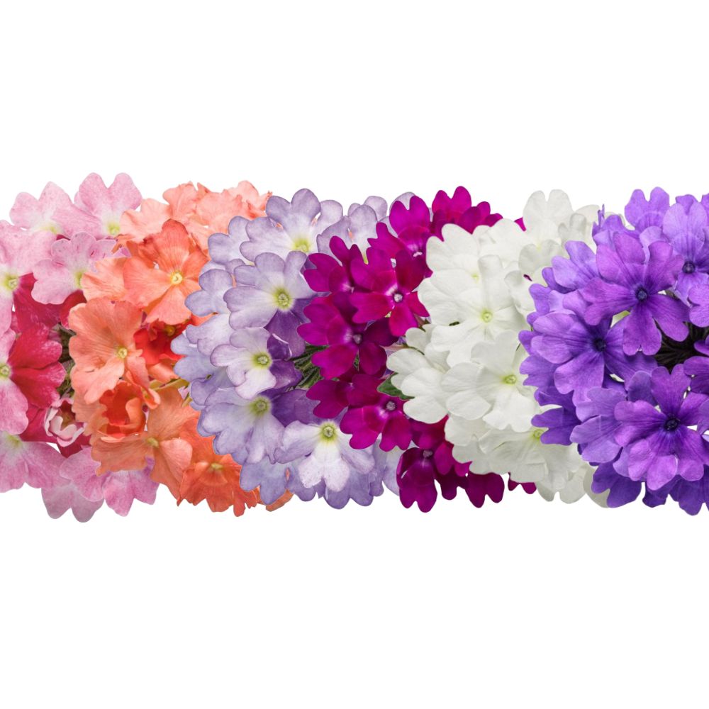 Verbena varieties by Proven Winners.