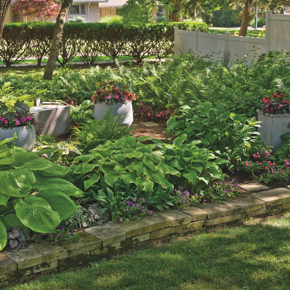 Full shade plants in use.