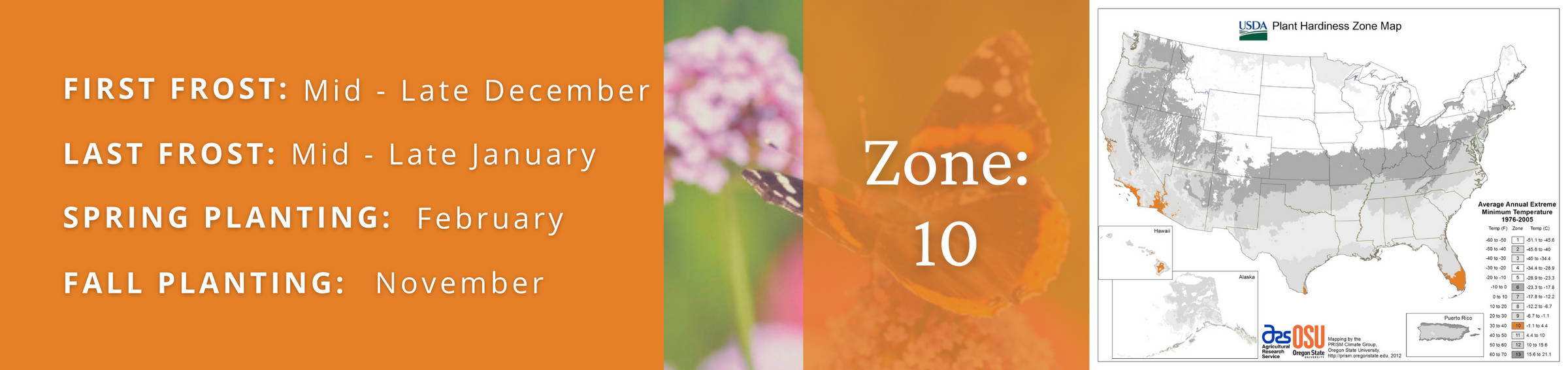 Proven Winner Plants for Zone 9