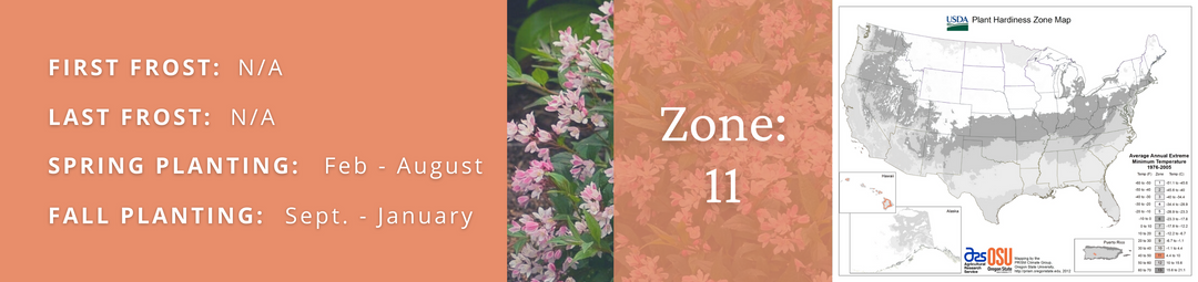 Proven Winners Zone 11 Plants