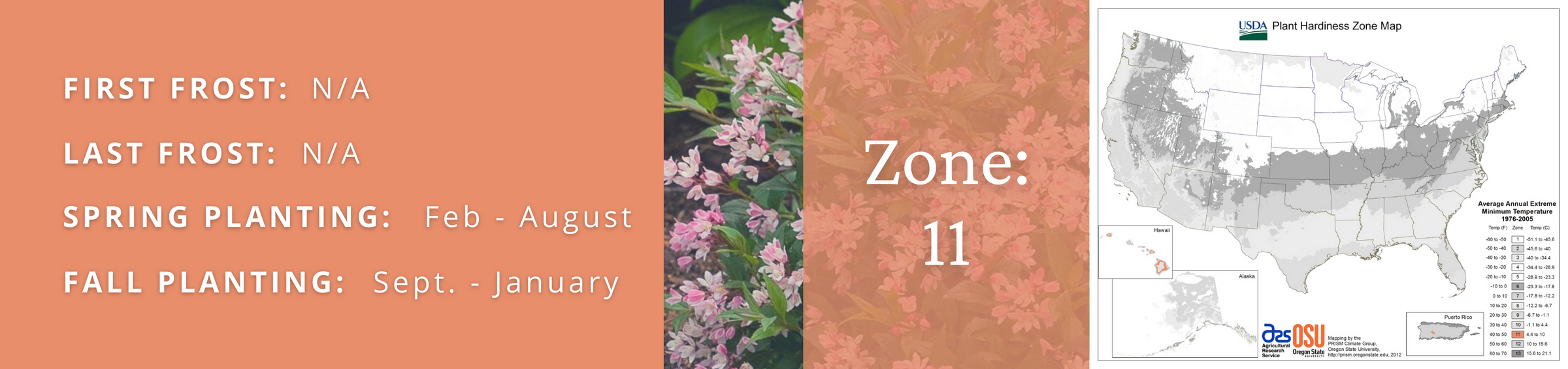 Proven Winners Zone 11 Plants