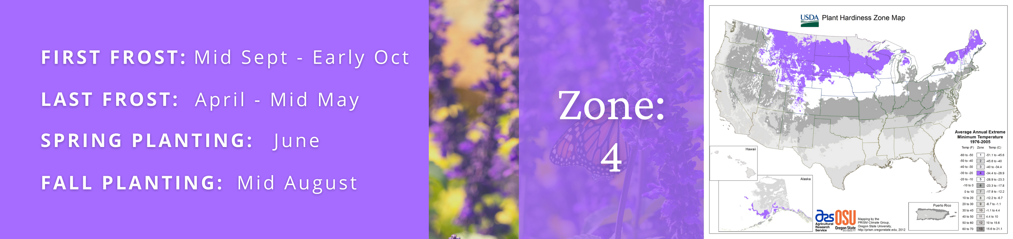 Best Garden Plants For Zone 4 | Proven Winners Direct – Proven Winners ...