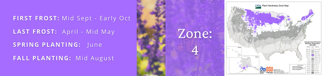Proven Winners Plants for Zone 4