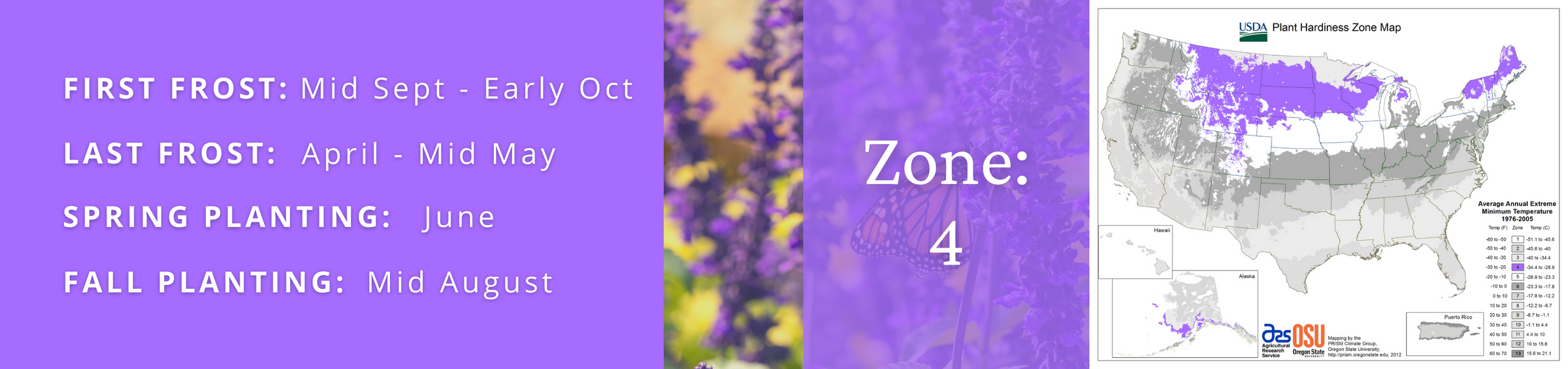 Proven Winners Plants for Zone 4