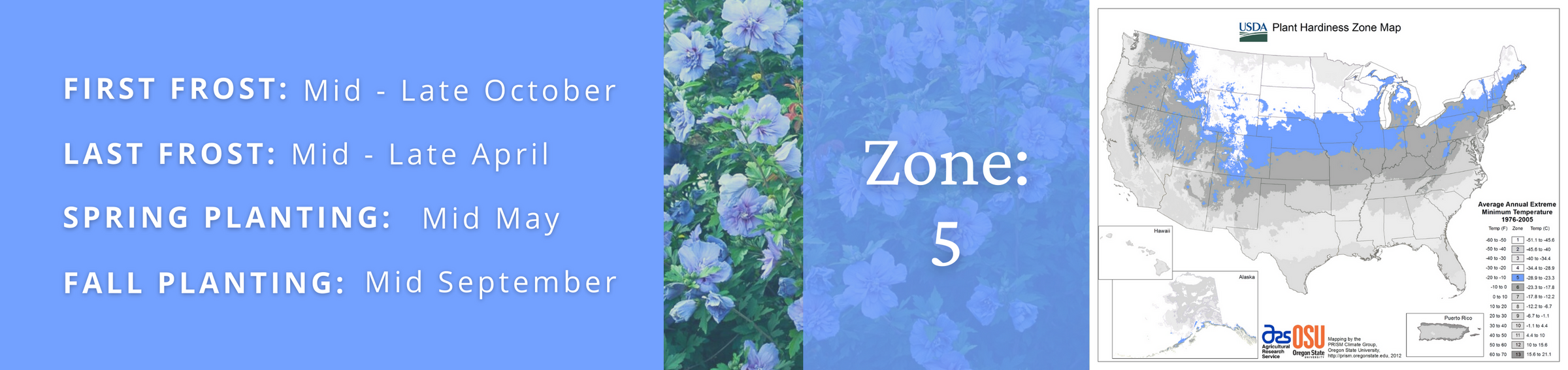 Zone 5