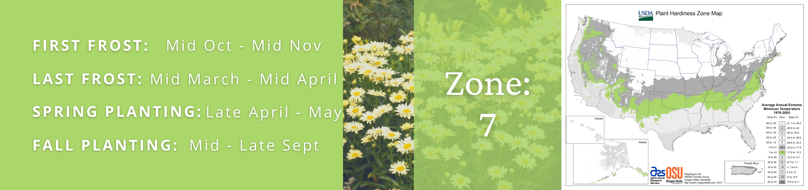 Best Garden Plants For Zone 7 Proven Winners Direct