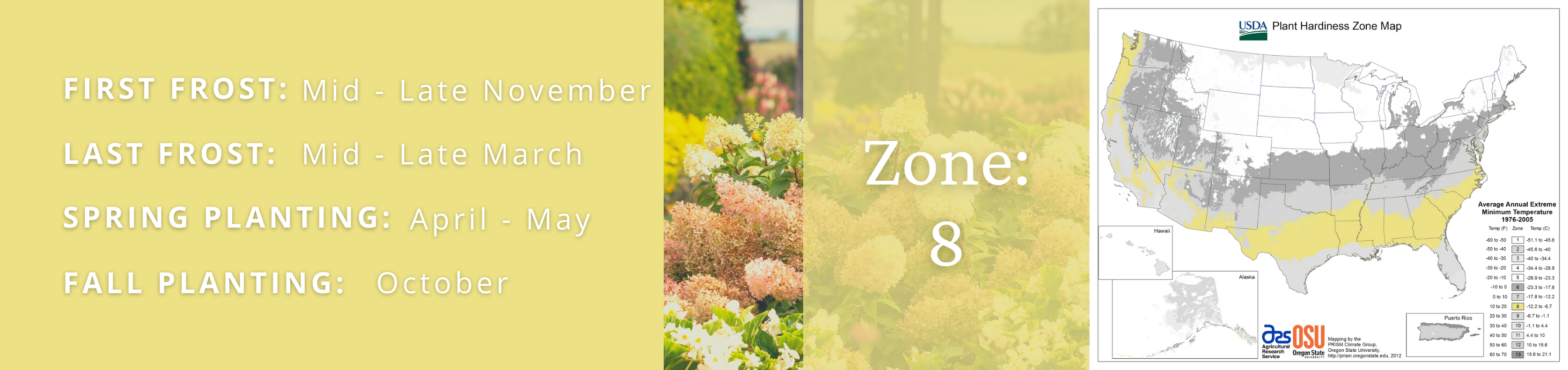 Best Garden Plants For Zone 8 Proven Winners Direct Proven Winners