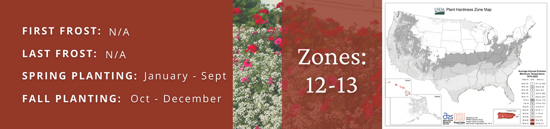 Proven Winners plants for zone 12 and 13.