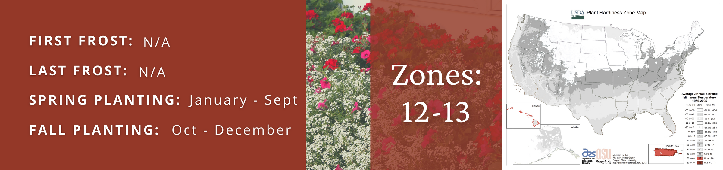 Proven Winners plants for zone 12 and 13.