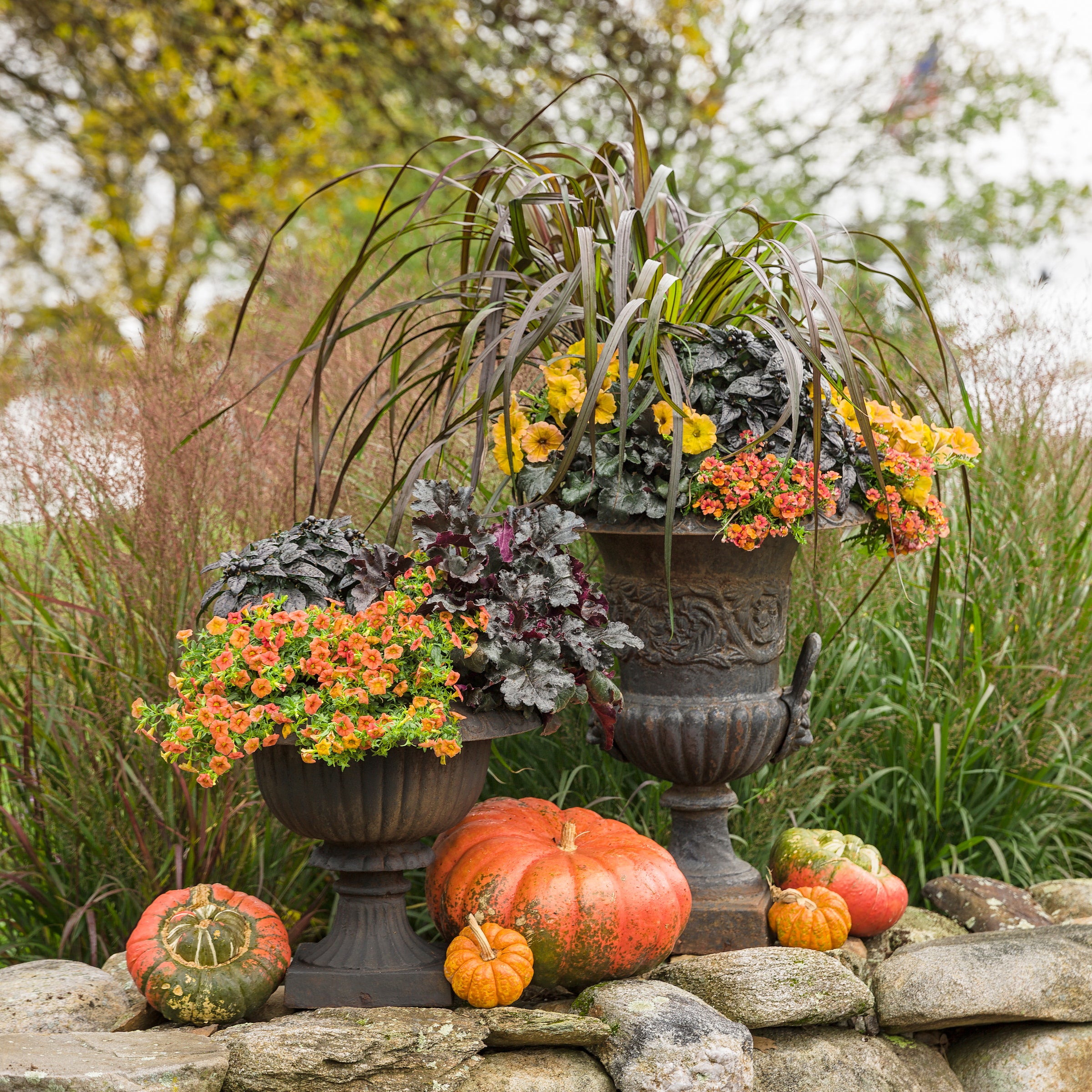 Fall Planting