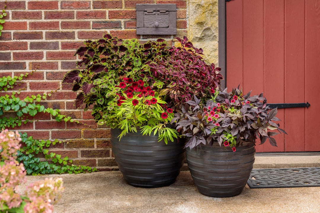 Up close 2 dark ceramic AquaPots filled with combination plants in fronts of a brick house