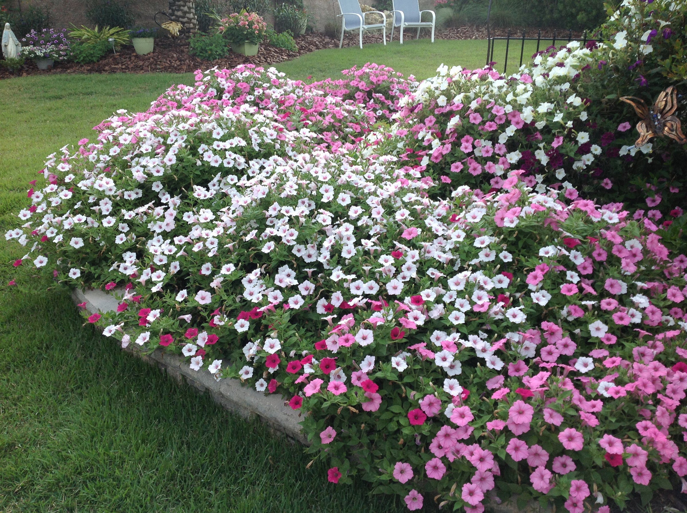 Top Annuals of 2025