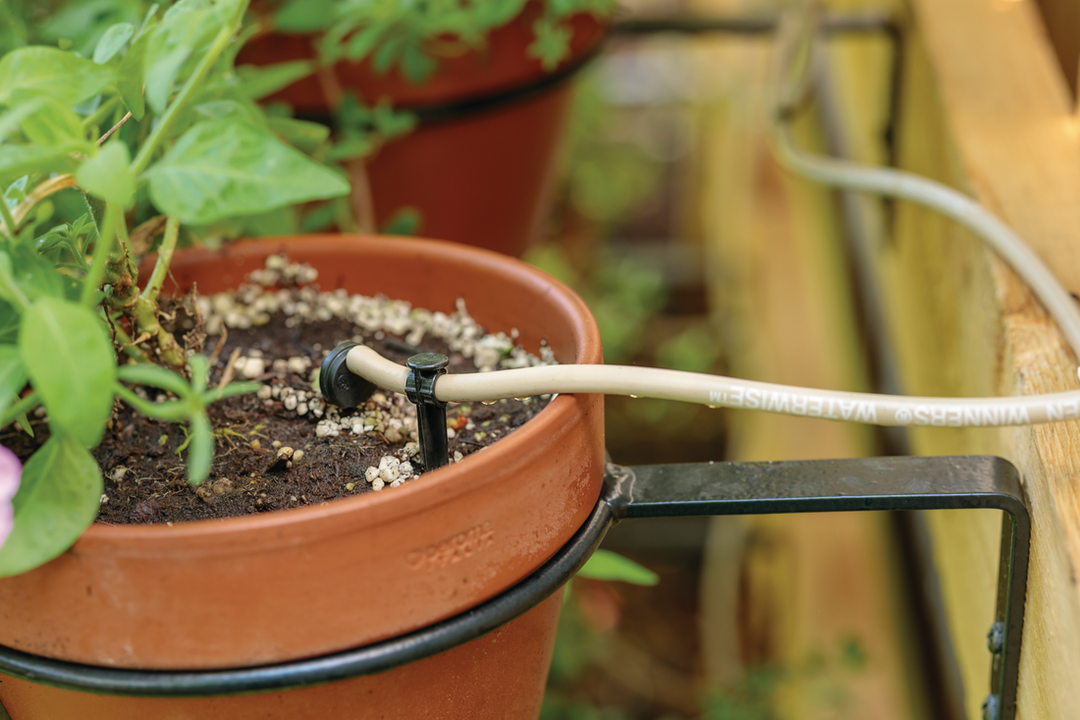 Scene of Proven Winners water irrigation system watering a pot outdoors