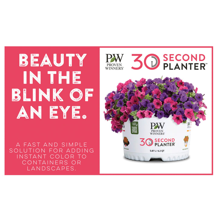 30 Second Planter™ Berry Express