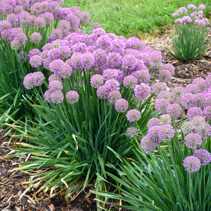 &