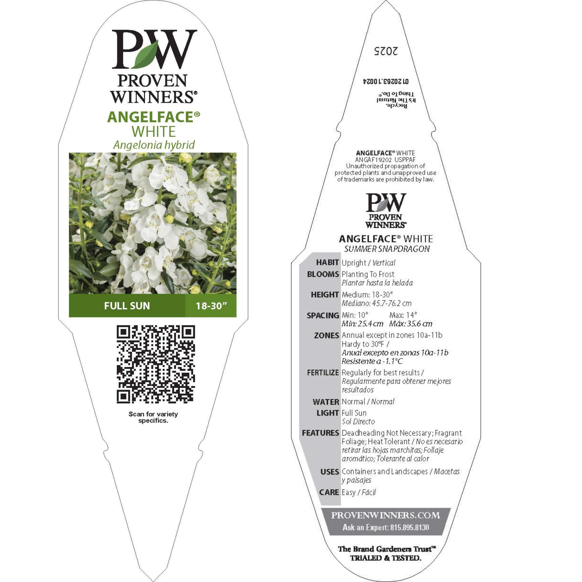 Summer Snapdragon | Angelface® White | Proven Winners® Annuals