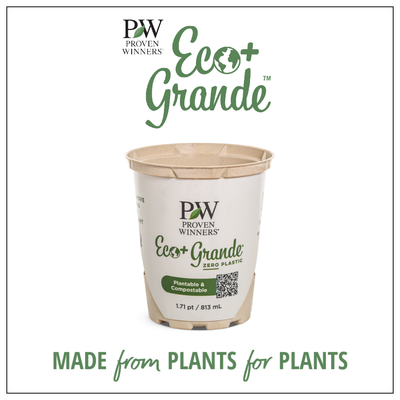 An infographic with an empty proven winners eco+ grande pot and the slogan "made from plants for plants"