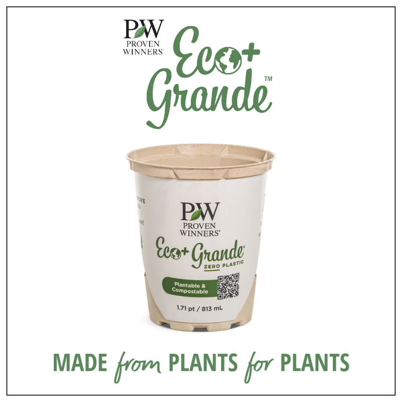 An infographic with an empty proven winners eco+ grande pot and the slogan "made from plants for plants"