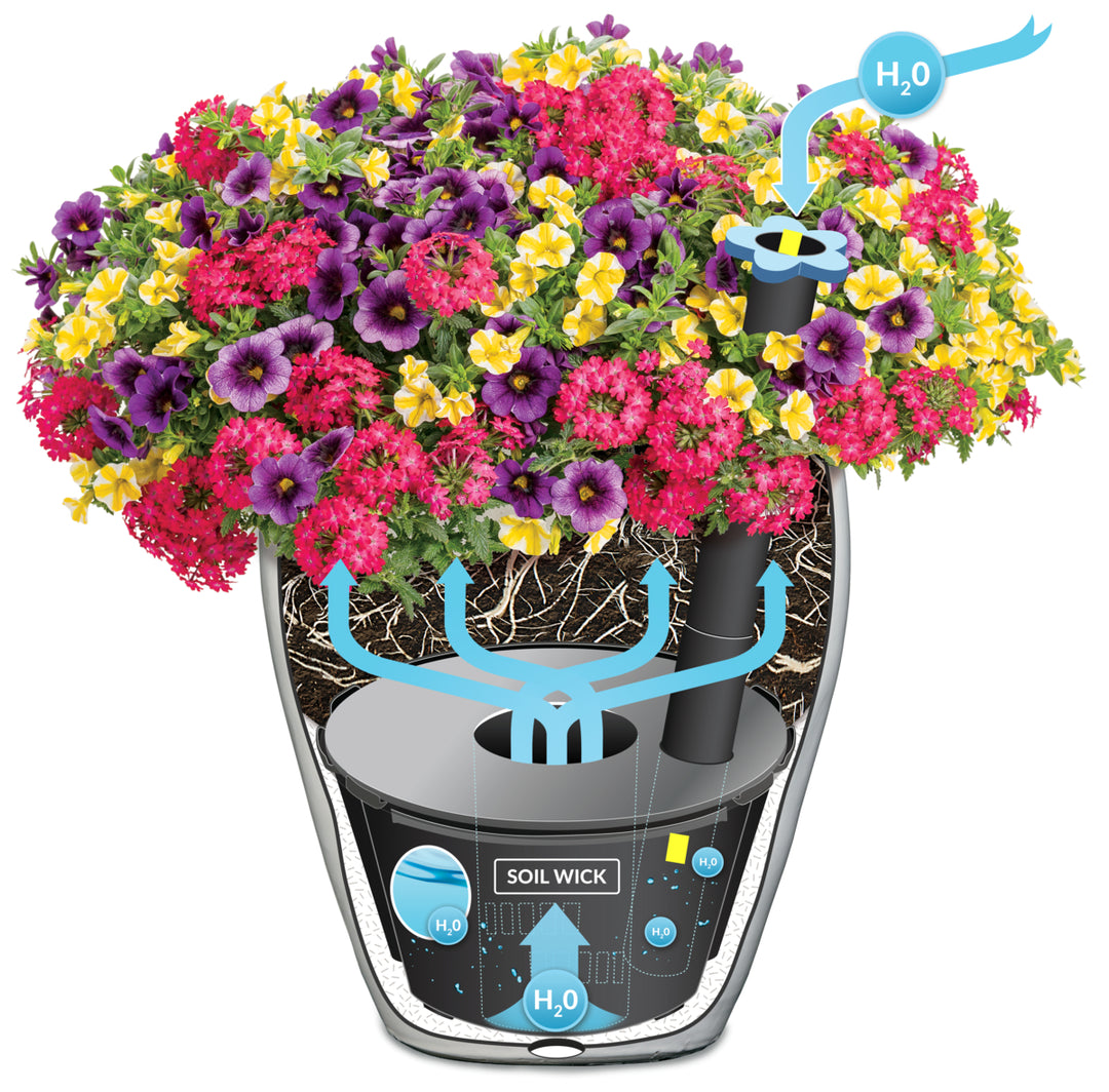 AquaPots Lite Large Insert - Round  Proven Winners Direct