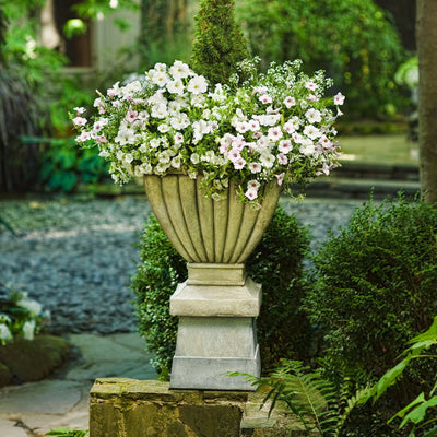 Superbells White Calibrachoa in use.